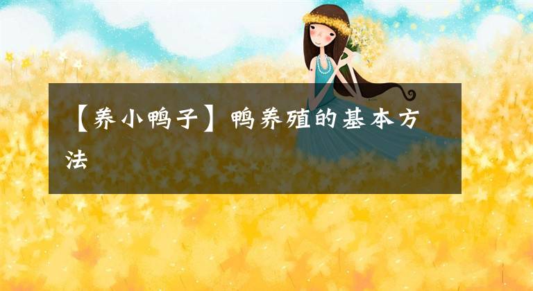 【养小鸭子】鸭养殖的基本方法