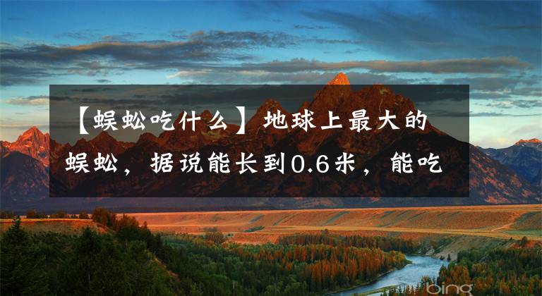 【蜈蚣吃什么】地球上最大的蜈蚣，据说能长到0.6米，能吃蛇