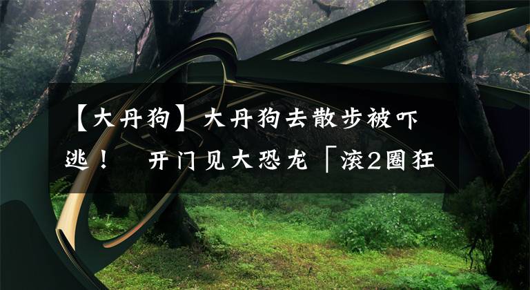 【大丹狗】大丹狗去散步被吓逃! 开门见大恐龙「滚2圈狂吠」家人笑喷