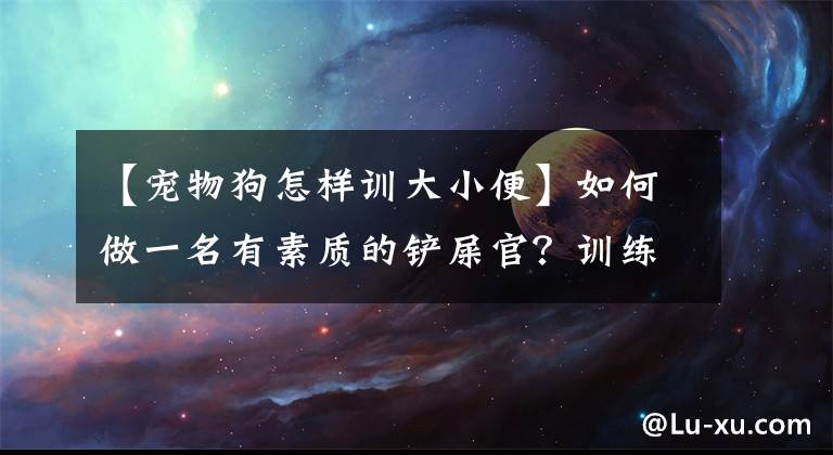 【宠物狗怎样训大小便】如何做一名有素质的铲屎官？训练狗狗言行举止是第一步，学起来吧