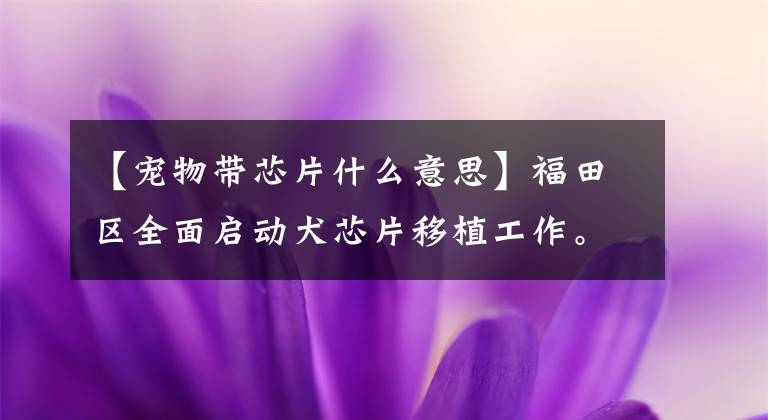 【宠物带芯片什么意思】福田区全面启动犬芯片移植工作。快带你家王成仁去了解一下。