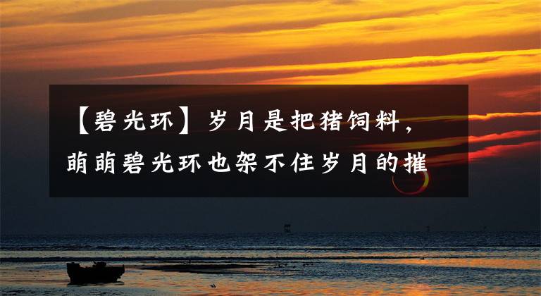 【碧光环】岁月是把猪饲料，萌萌碧光环也架不住岁月的摧残！