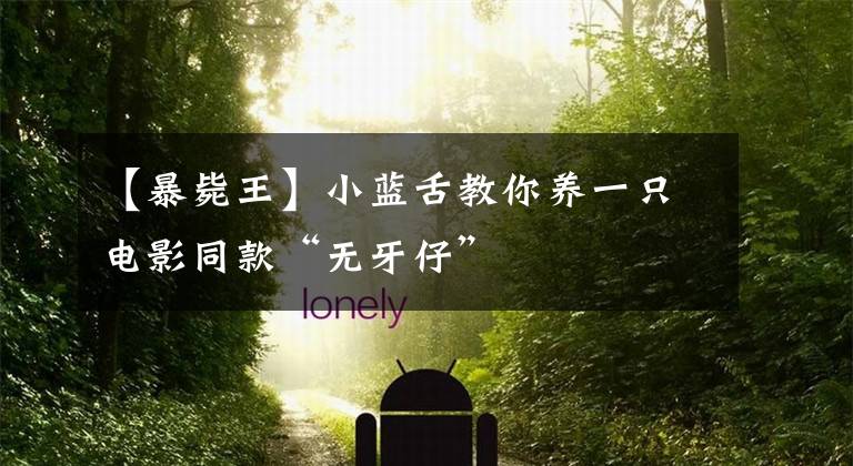 【暴毙王】小蓝舌教你养一只电影同款“无牙仔”