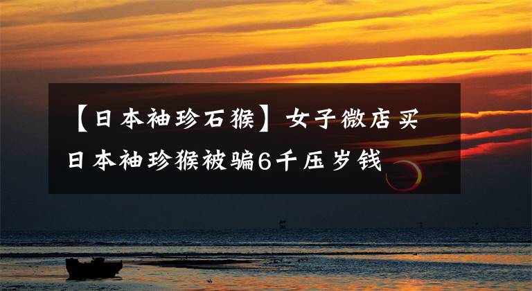 【日本袖珍石猴】女子微店买日本袖珍猴被骗6千压岁钱
