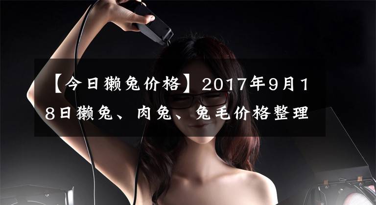 【今日獭兔价格】2017年9月18日獭兔、肉兔、兔毛价格整理