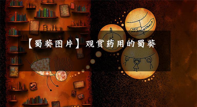 【蜀葵图片】观赏药用的蜀葵