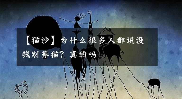 【猫沙】为什么很多人都说没钱别养猫？真的吗