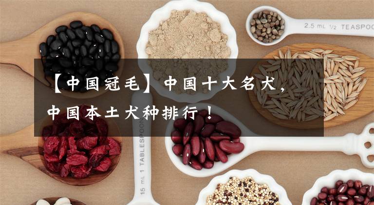 【中国冠毛】中国十大名犬，中国本土犬种排行！