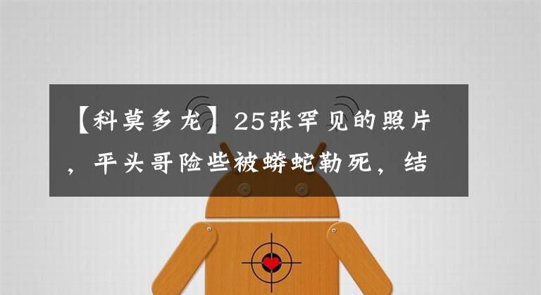 【科莫多龙】25张罕见的照片,平头哥险些被蟒蛇勒死,结果反杀还击退2只狼
