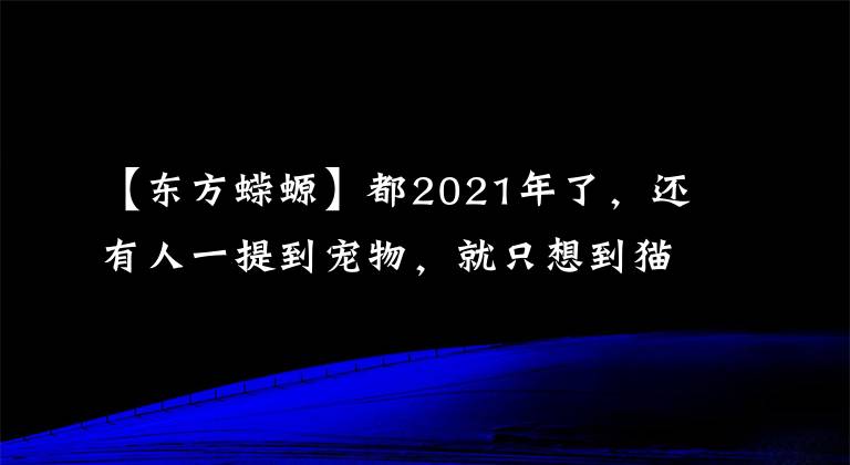 【东方蝾螈】都2021年了，还有人一提到宠物，就只想到猫和狗？