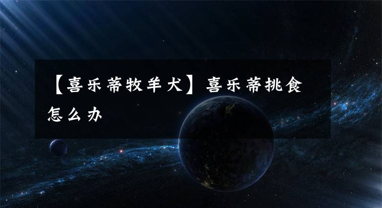 【喜乐蒂牧羊犬】喜乐蒂挑食怎么办