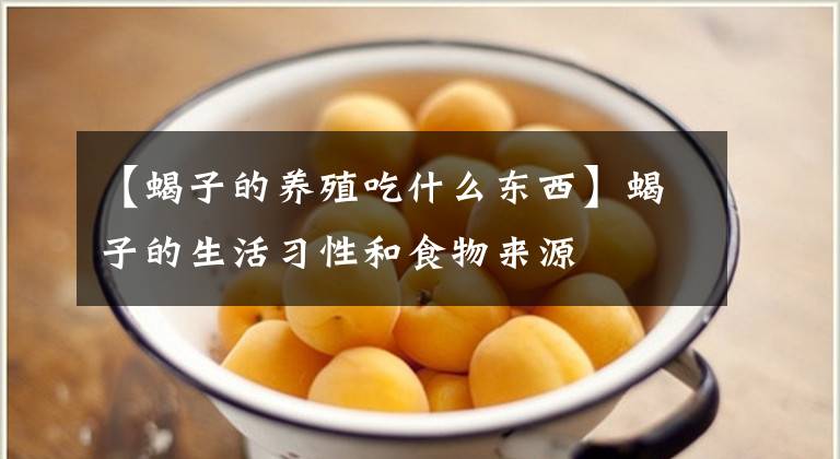 【蝎子的养殖吃什么东西】蝎子的生活习性和食物来源