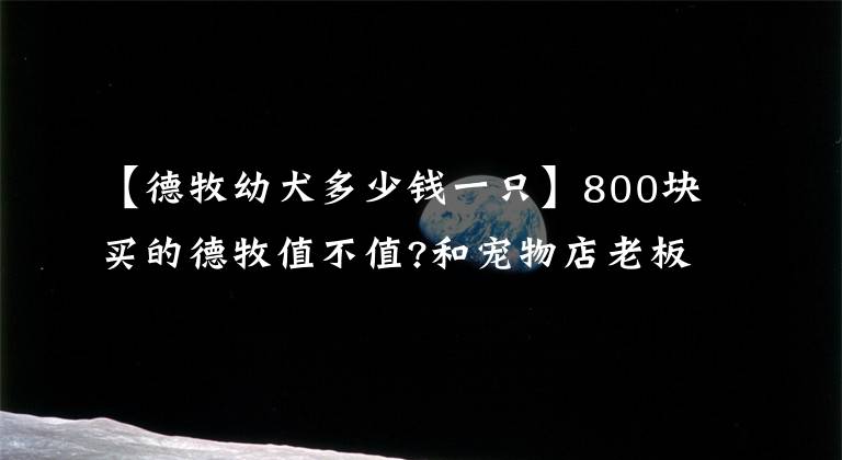 【德牧幼犬多少钱一只】800块买的德牧值不值?和宠物店老板是亲戚关系,应该不会坑我吧?