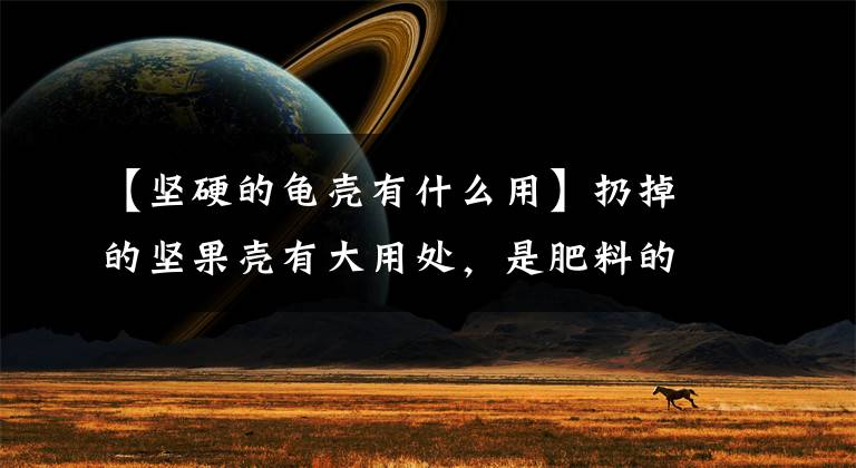 【坚硬的龟壳有什么用】扔掉的坚果壳有大用处,是肥料的原材料,用一点植物生长更旺盛