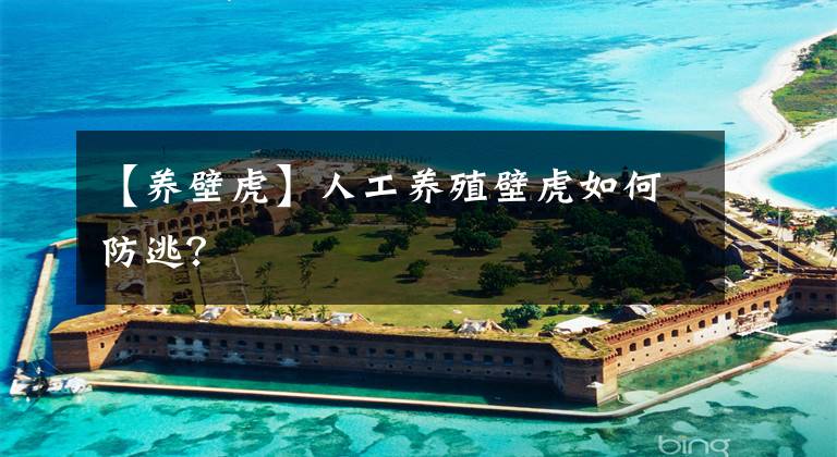 【养壁虎】人工养殖壁虎如何防逃？