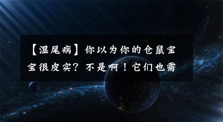 【湿尾病】你以为你的仓鼠宝宝很皮实？不是啊！它们也需要你的照顾！
