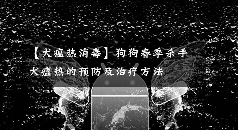 【犬瘟热消毒】狗狗春季杀手犬瘟热的预防及治疗方法