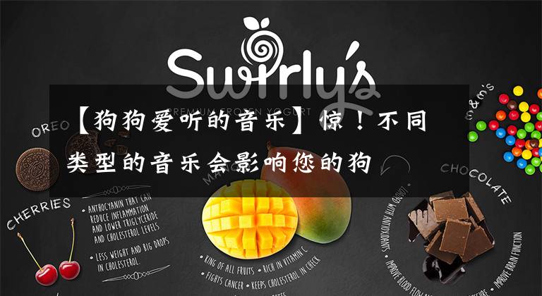 【狗狗爱听的音乐】惊！不同类型的音乐会影响您的狗