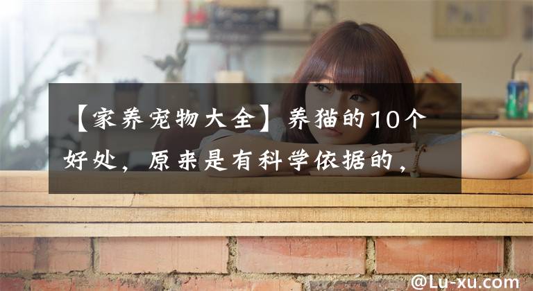 【家养宠物大全】养猫的10个好处，原来是有科学依据的，你知道吗？