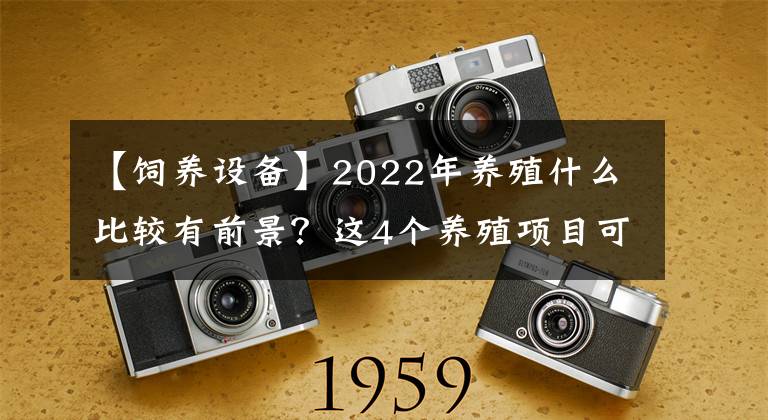 【饲养设备】2022年养殖什么比较有前景？这4个养殖项目可参考