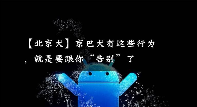 【北京犬】京巴犬有这些行为,就是要跟你“告别”了