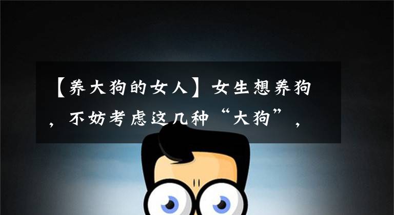 【养大狗的女人】女生想养狗,不妨考虑这几种“大狗”,原因你都懂
