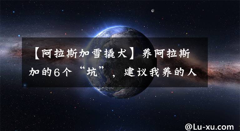 【阿拉斯加雪撬犬】养阿拉斯加的6个“坑”，建议我养的人站出来