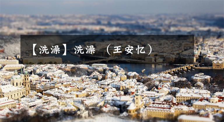 【洗澡】洗澡 (王安忆)