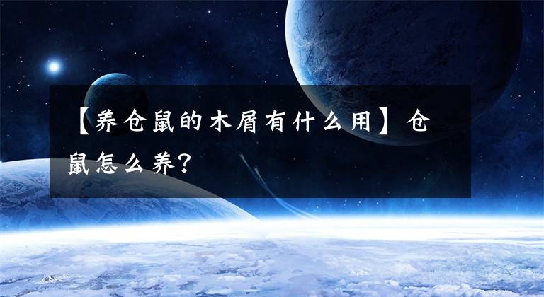 【养仓鼠的木屑有什么用】仓鼠怎么养?