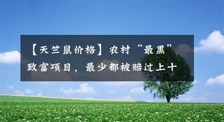 【天竺鼠价格】农村“最黑”致富项目，最少都被赔过上十万块，一提农民就急！