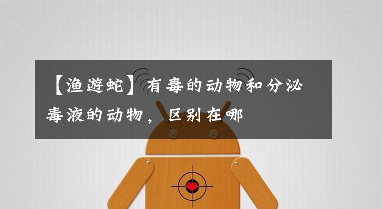 【渔游蛇】有毒的动物和分泌毒液的动物,区别在哪