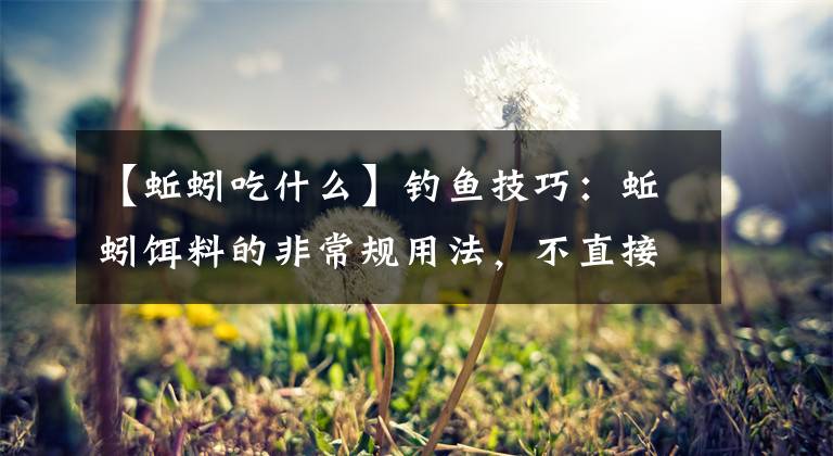 【蚯蚓吃什么】钓鱼技巧：蚯蚓饵料的非常规用法，不直接做饵料，钓鱼老手才懂得