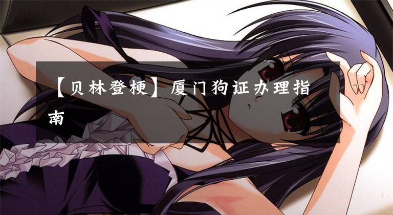 【贝林登梗】厦门狗证办理指南