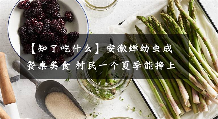 【知了吃什么】安徽蝉幼虫成餐桌美食 村民一个夏季能挣上万元