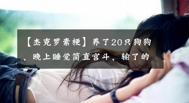 【杰克罗素梗】养了20只狗狗，晚上睡觉简直宫斗，输了的只能睡床底