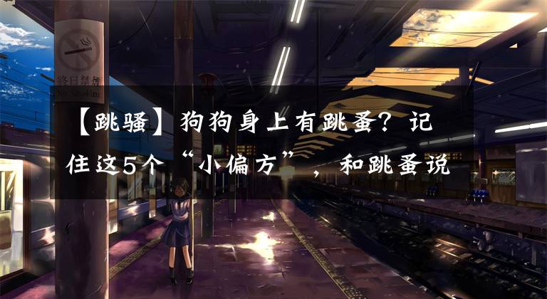 【跳骚】狗狗身上有跳蚤？记住这5个“小偏方”，和跳蚤说拜拜