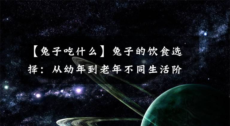 【兔子吃什么】兔子的饮食选择:从幼年到老年不同生活阶段的饲养需求