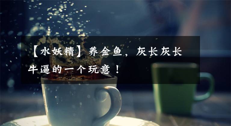 【水妖精】养金鱼,灰长灰长牛逼的一个玩意!