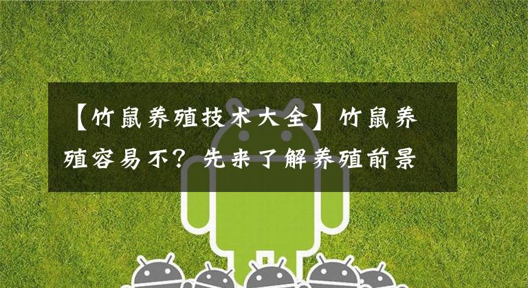 【竹鼠养殖技术大全】竹鼠养殖容易不?先来了解养殖前景和养殖的关键要求吧,一看便知
