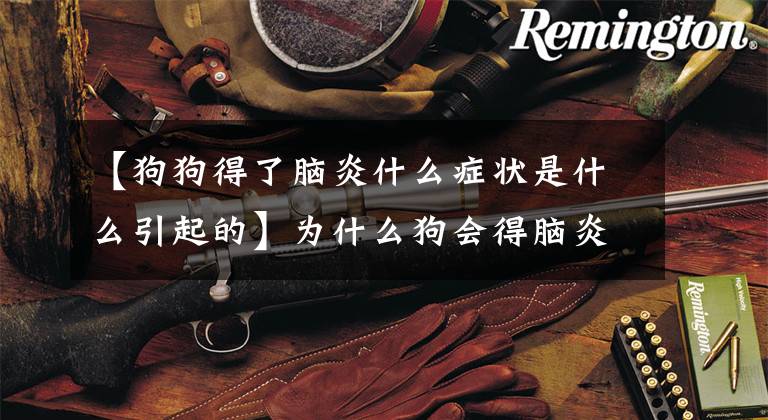 【狗狗得了脑炎什么症状是什么引起的】为什么狗会得脑炎？