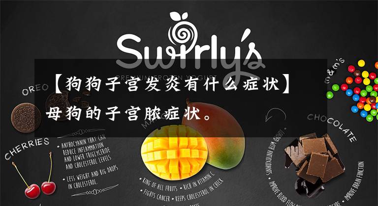 【狗狗子宫发炎有什么症状】母狗的子宫脓症状。