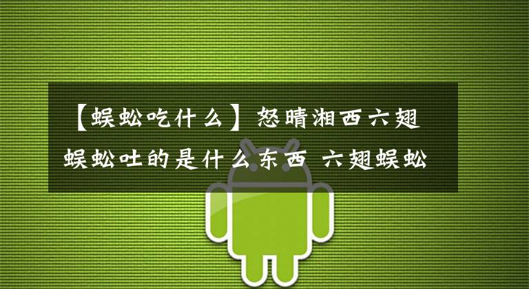 【蜈蚣吃什么】怒晴湘西六翅蜈蚣吐的是什么东西 六翅蜈蚣杀了哪些人