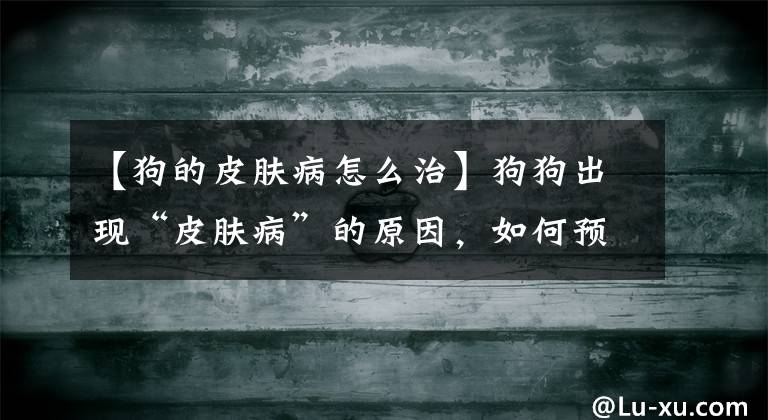 【狗的皮肤病怎么治】狗狗出现“皮肤病”的原因，如何预防和改善？