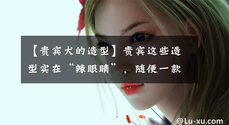 【贵宾犬的造型】贵宾这些造型实在“辣眼睛”，随便一款都很火，最好别错过哦