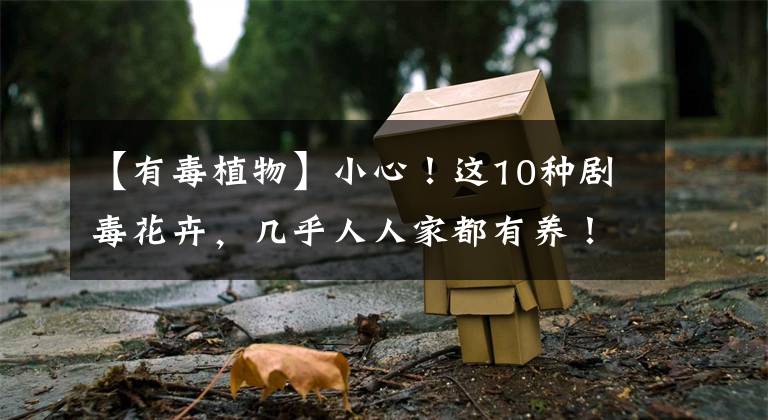 【有毒植物】小心！这10种剧毒花卉，几乎人人家都有养！