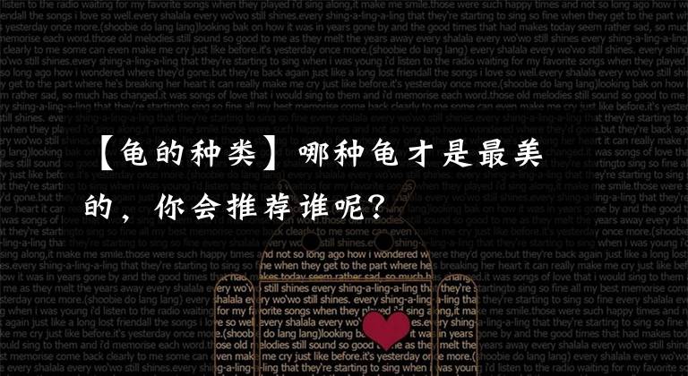 【龟的种类】哪种龟才是最美的,你会推荐谁呢?