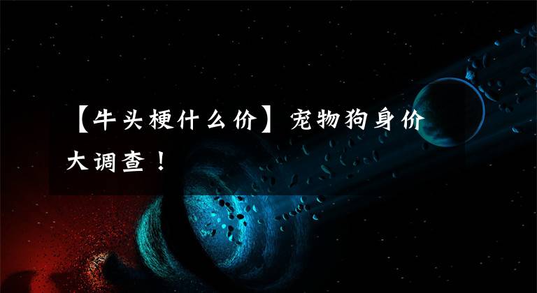 【牛头梗什么价】宠物狗身价大调查!