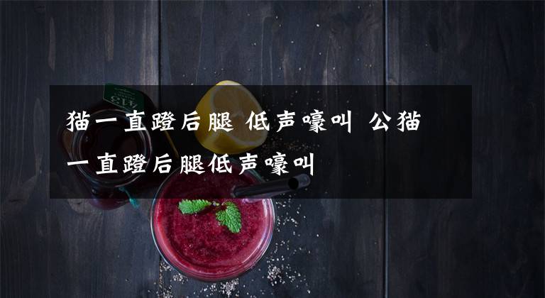 猫一直蹬后腿 低声嚎叫 公猫一直蹬后腿低声嚎叫