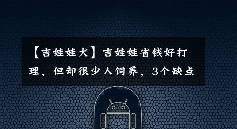【吉娃娃犬】吉娃娃省钱好打理，但却很少人饲养，3个缺点令人难以忍受