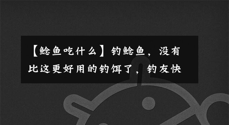 【鲶鱼吃什么】钓鲶鱼,没有比这更好用的钓饵了,钓友快拿去试试吧